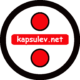 Net Kapsül Ev